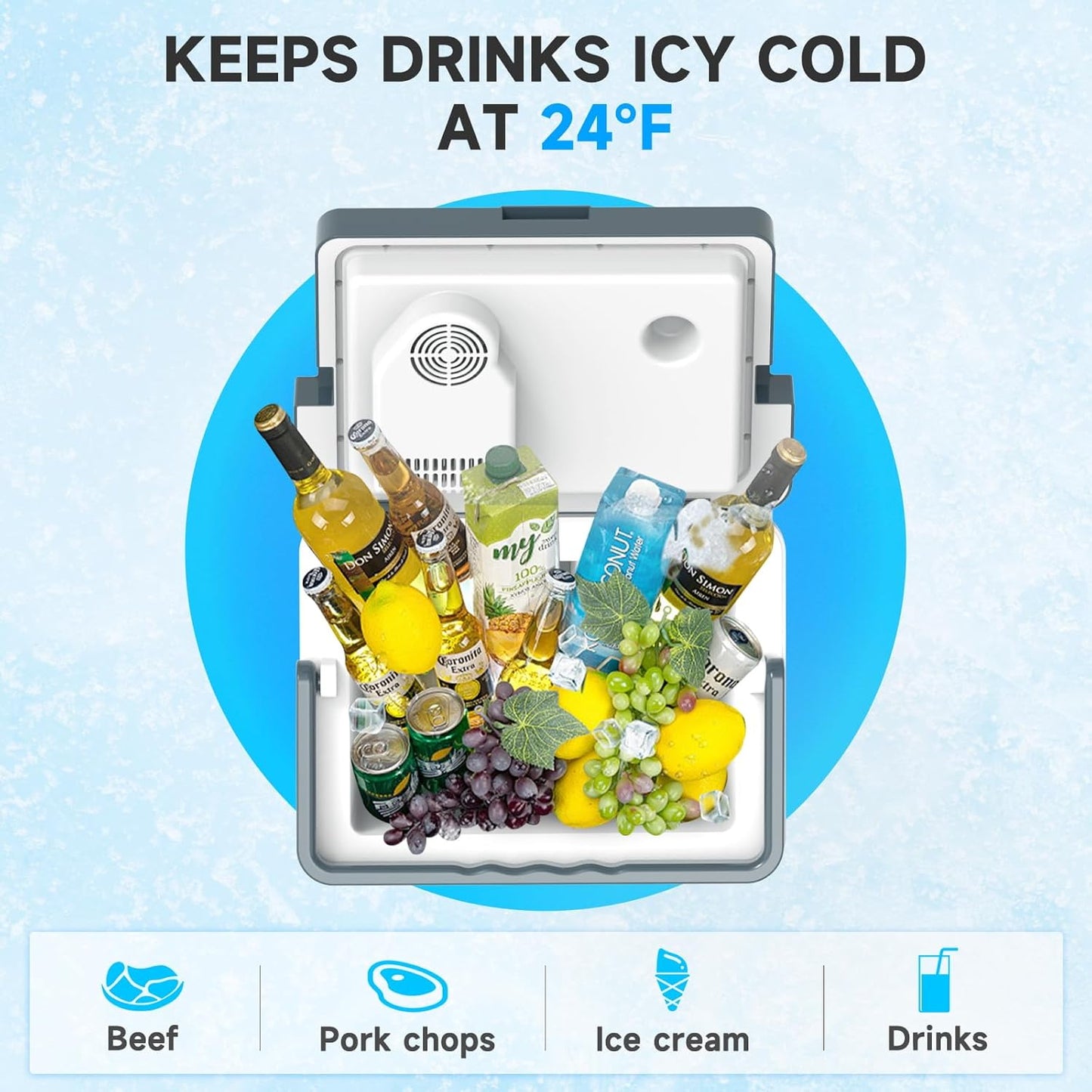 SHAREWIN Electric Cooler & Warmer with Handle 31.7 Quart/30L Portable Thermoelectric Fridge for Vehicles & Trucks with 110V AC & 12V DC, 12V Car Cooler for Camping, Travel Grey