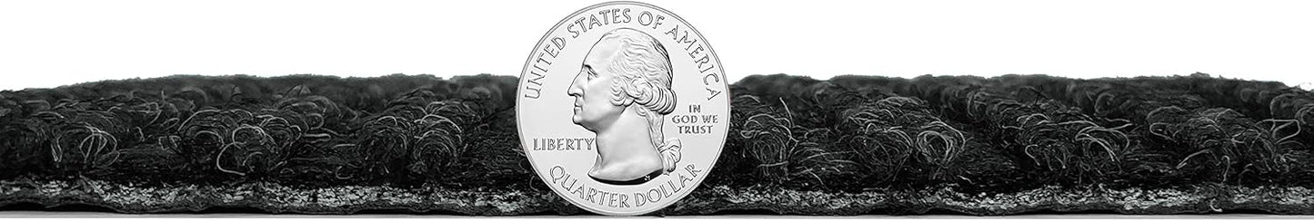 Heavy Duty Durable All Weather Indoor/Outdoor Non Slip Entrance Mat Rugs and Runners for Office Business Building Home Garage Front Door (4' x 6', Charcoal)