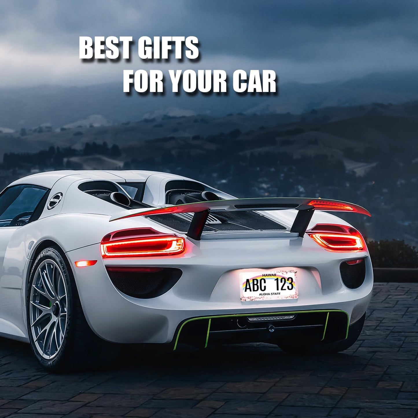 Cherry Blossom License Plate Frame Floral Pink Flowers License Plate Holder Stainless Steel Colorful Design Compatible with Standard License Plate for USA Canada 12.3" x 6.3" with 2 Screws