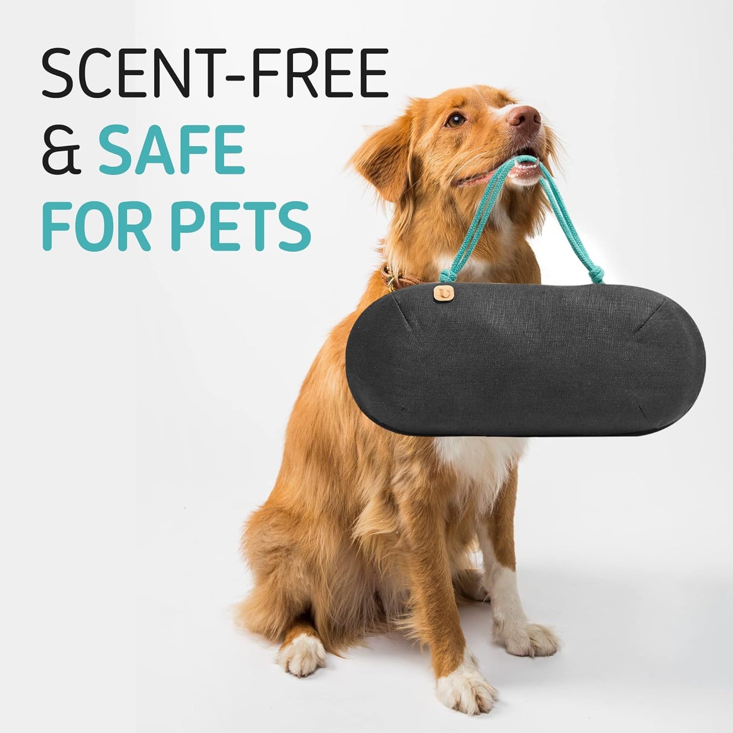 Car Air Freshener - Lasts 365+ Days No Chemicals 100% Activated Bamboo Charcoal Fragrance-Free Deodorizer, Natural Auto Odor Eliminator, Purifier, Neutralizer, Absorb Smoke Smell