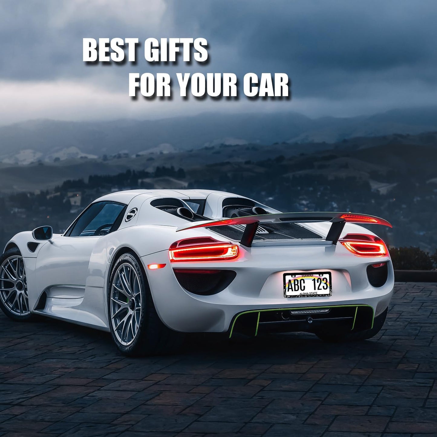 Sea Turtle License Plate Frame Cute Fish Animal Turtles License Plate Holder for Personalized Ocean Animals Car Decorative Stainless Steel Funny License Plate Turtles Auto Part 12.2" x 6.2"