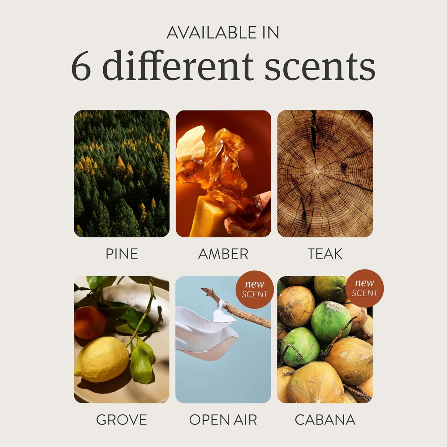 Drift Car Air Freshener - Stone Air Freshener - Car Odor Eliminator - Teak Scent Refill - Pack of 3 - NO CLIP INCLUDED